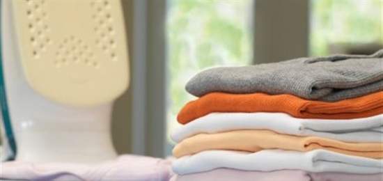 Domestic Assistance1